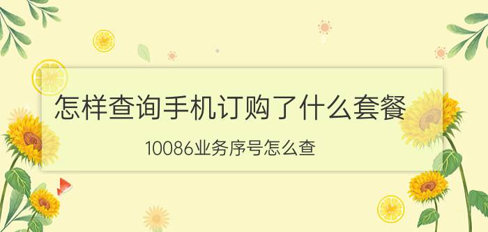 怎样查询手机订购了什么套餐 10086业务序号怎么查？